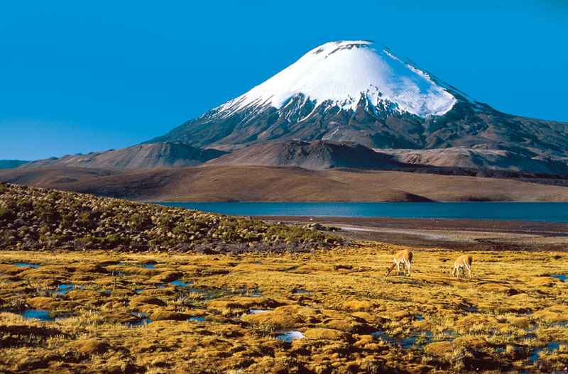 Parque Nacional Lauca Altiplano Chileno